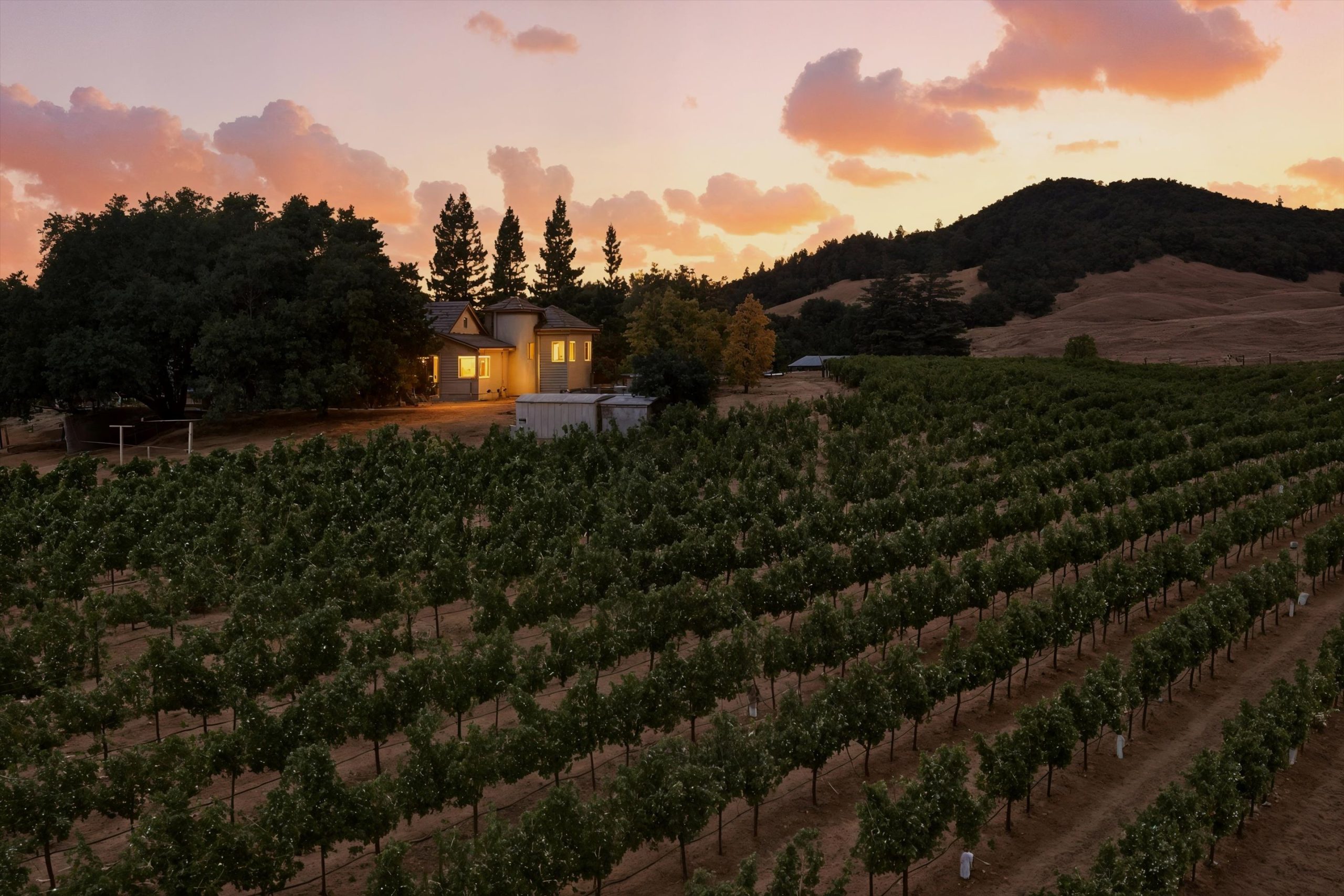 Lytton Manor Ranch and Vineyard.
