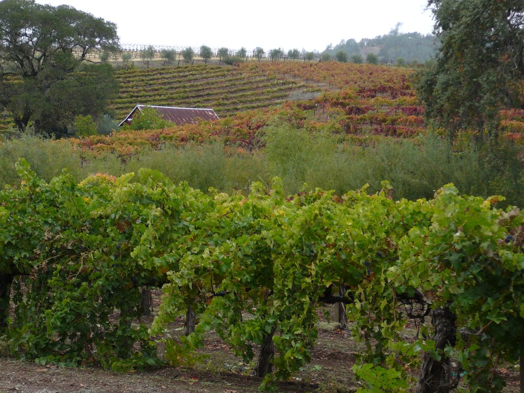 CC 2007 Stephen Walli.