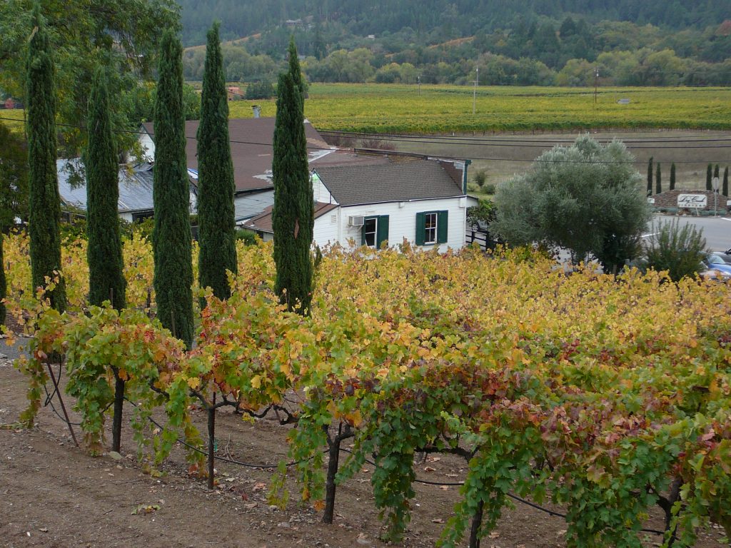 CC 2007 Stephen Walli.