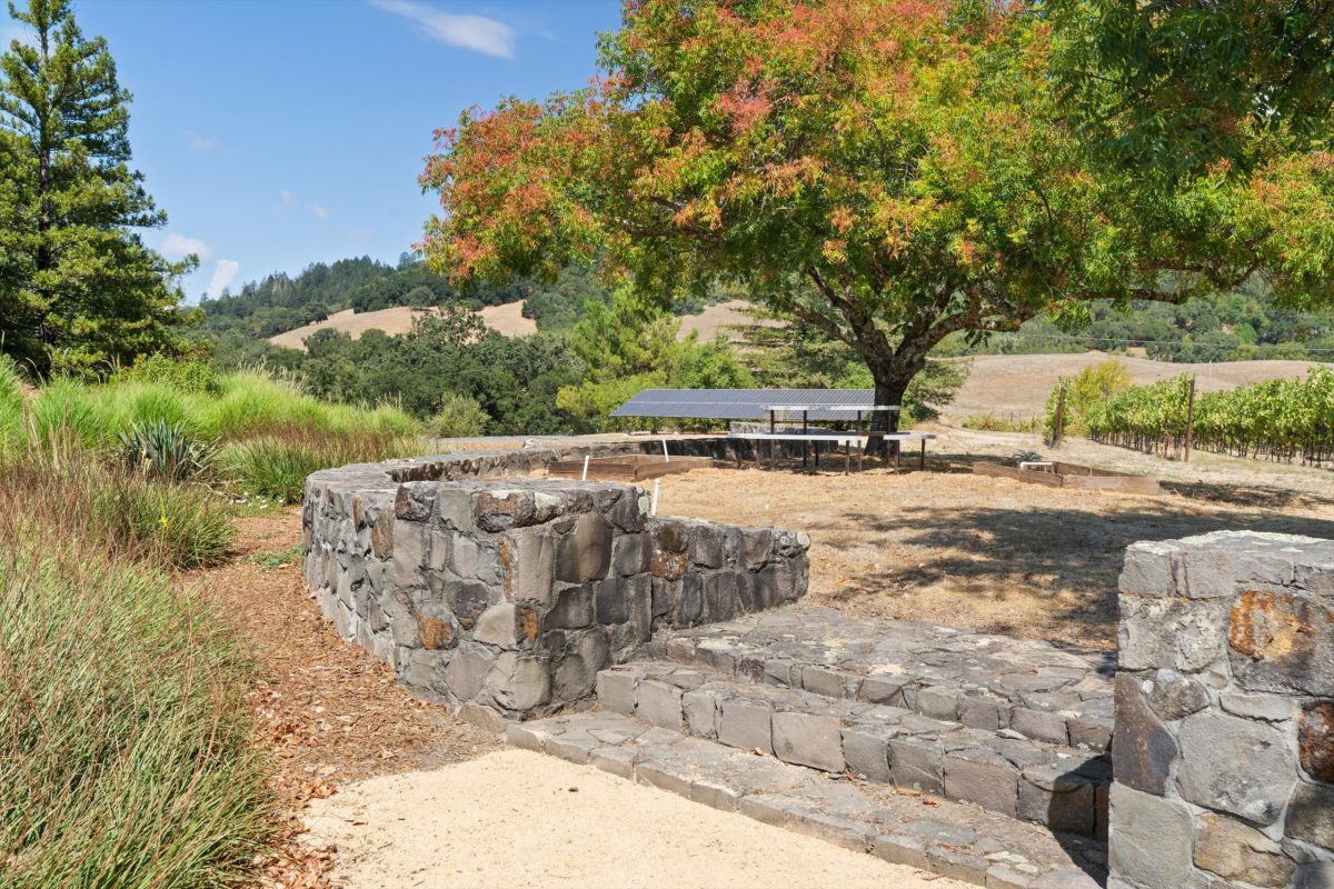 Vineyard Terrace