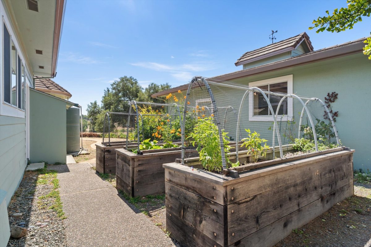 Vegetable/Herb Kitchen Garden