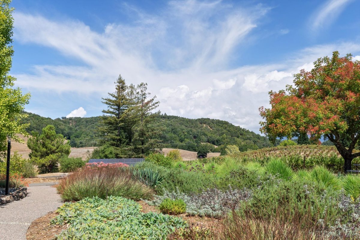 Front Pollinator Garden