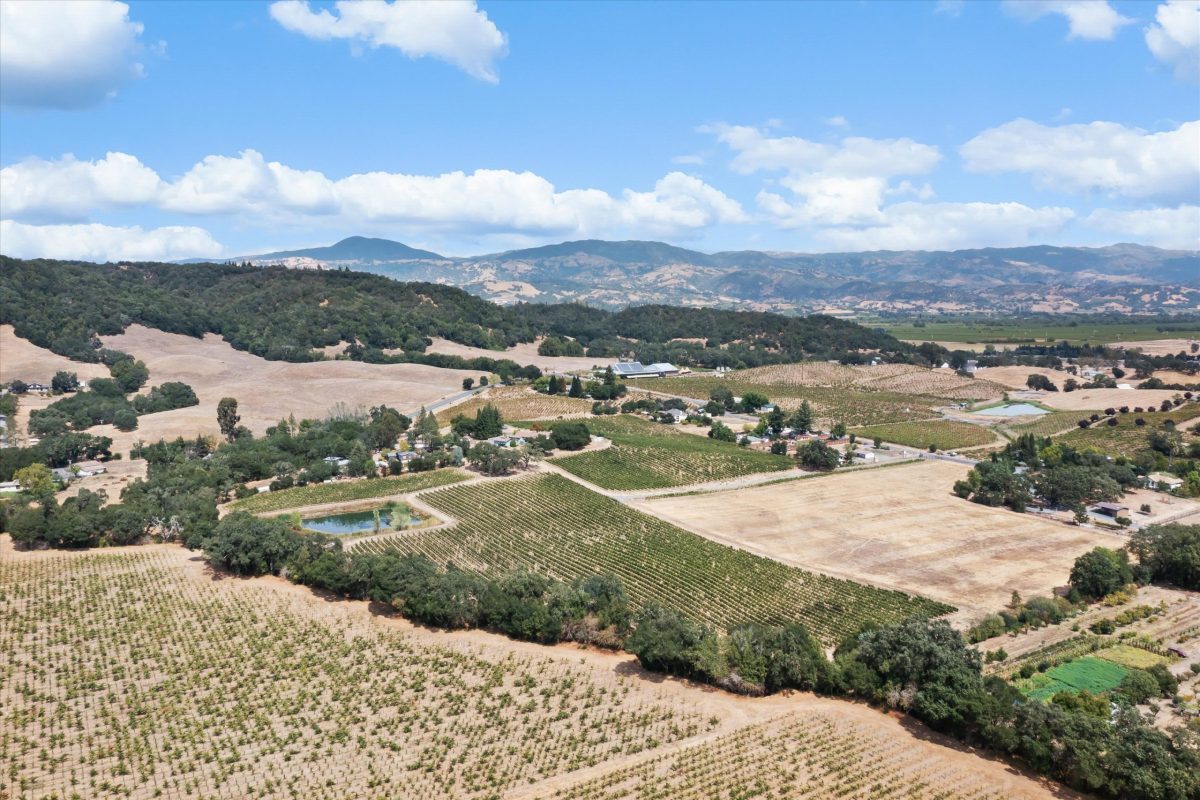 Vineyard Aerial View