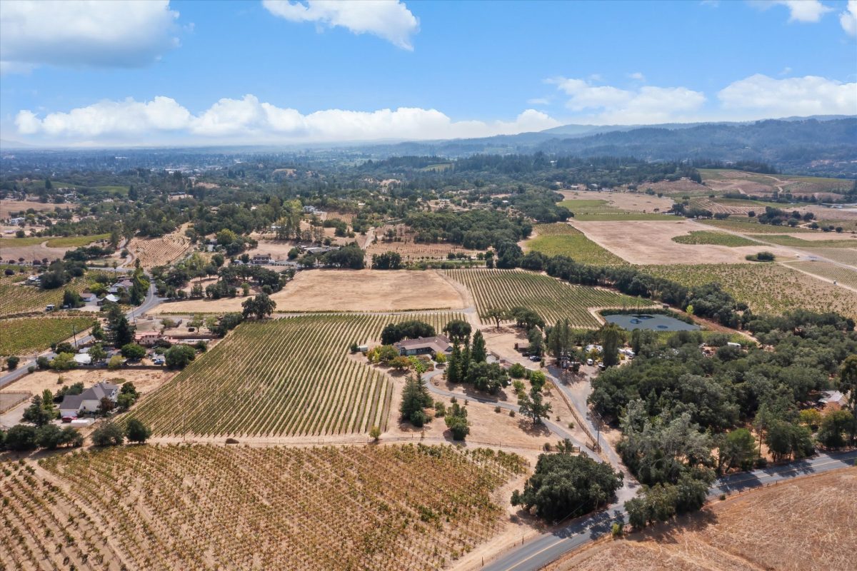 Vineyard Aerial View