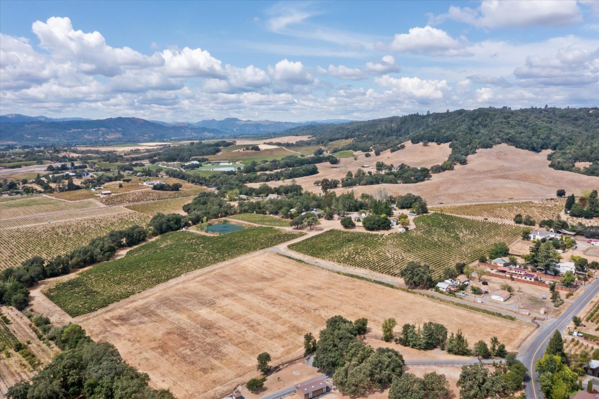 Vineyard Aerial View