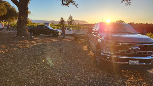 Morning Harvest Crew