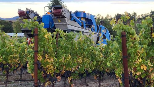 Mechanical Harvester