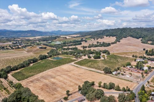 Vineyard Aerial View